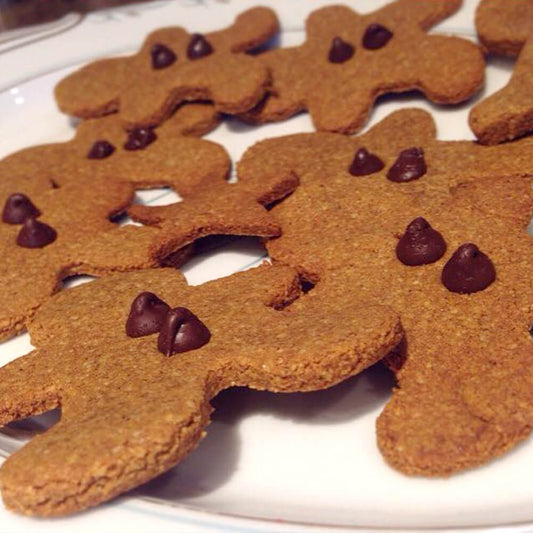 VitafiberRecipeGlutenFreeGingerbread2